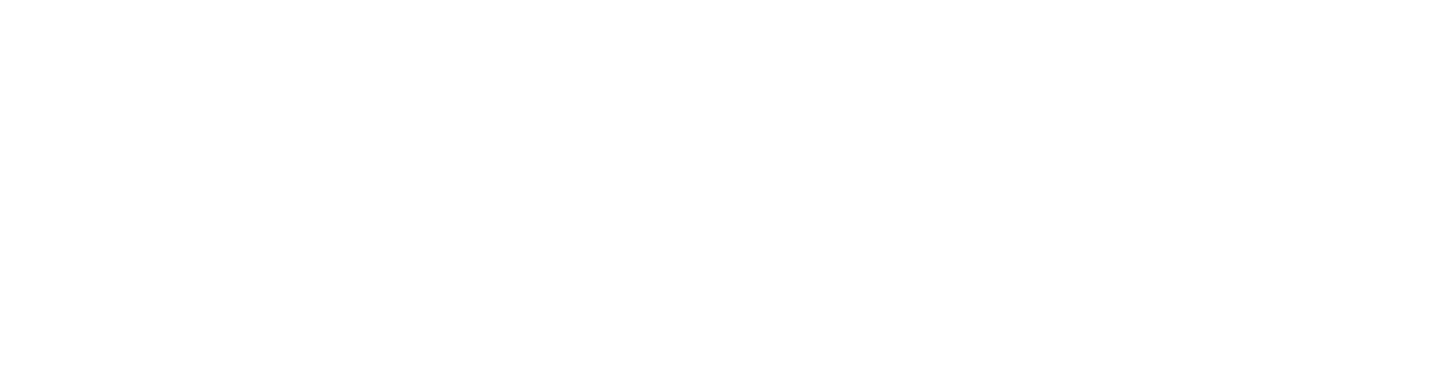 Persona logo